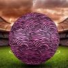 Animal Pattern Indoor Size 5 Soccer Ball Colorful Machine Stitched PVC Competition Ready Durable High-Bounce