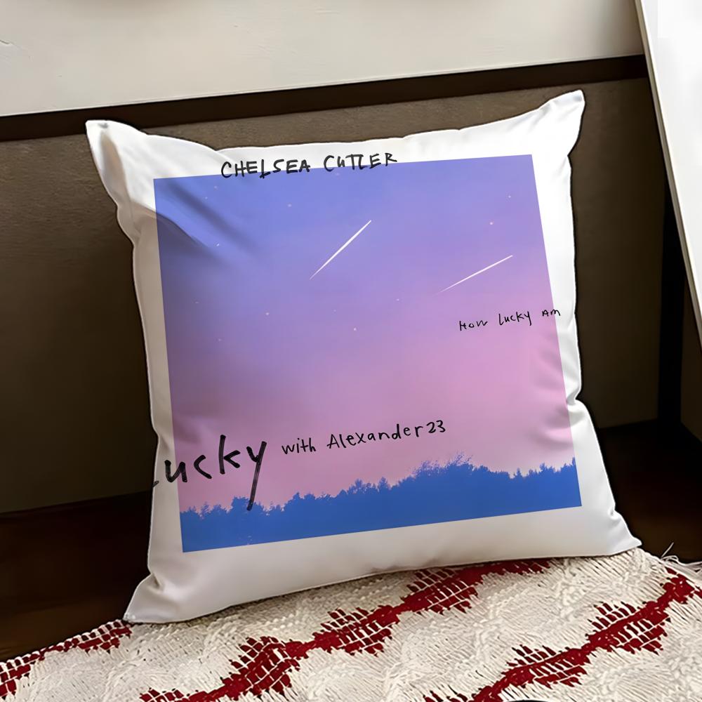 CChelsea Siger CCutler Cushion Cover Reversible Soft Durable Pillow Cover Home  Car MultiScene Use for Daily Comfort