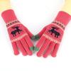 Winter new plush gloves cycling knitted gloves autumn and winter girls cute cold touch screen student warm gloves