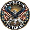 Patriotic Eagle Embossed Tin Sign Vintage Metal Wall Art for Indoor Outdoor Decor