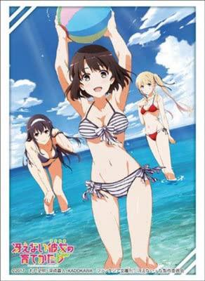 Bushiroad Sleeve Collection High Grade To Raise a Boring Girlfriend Vol.1304 "How " Part.2