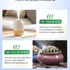 Plant Essential Oil Set 10ml Each Natural Fragrance Therapy Aromatherapy Body Oil Spa Massage Gift Set Export Wholesale