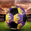 Minnesota Vikings Indoor Soccer Ball Colorful All Ages Size 5 Machine Stitched PVC Competition Ready Durable High-Bounce
