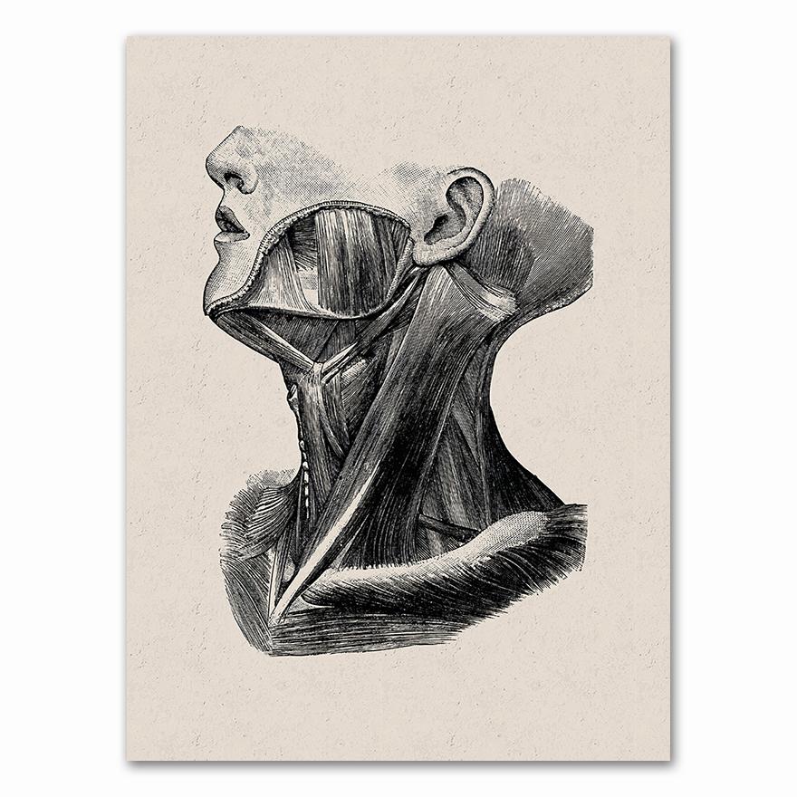 Anatomy skeleton Patent Vintage Poster Wall Art Print Canvas Painting Nordic Posters And Prints Wall Pictures For Living Room 21X30CMNo Framed