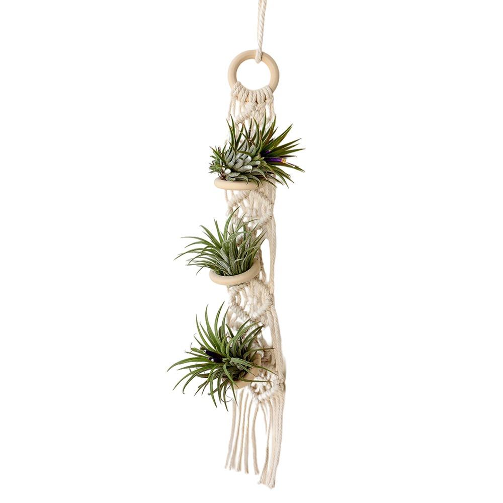 

for Indoor Living Room Balcony Macrame Plant Hangers Handmade Beige Color Cotton Rope Hanging Planter Cotton Rope