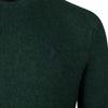 Polo Ralph Lauren Solid Color Crew Neck Knitted Sweater Men sweater Green MNPOSWE16810272-D08