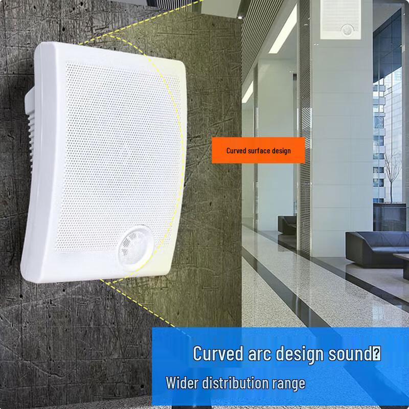 VISHU Professional IP Network Wall-Mounted Speaker CN Plug (adapter Included)