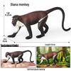 Realistic Animal Heart Model Toy: Lemur, Raccoon, Orangutan, Baboon