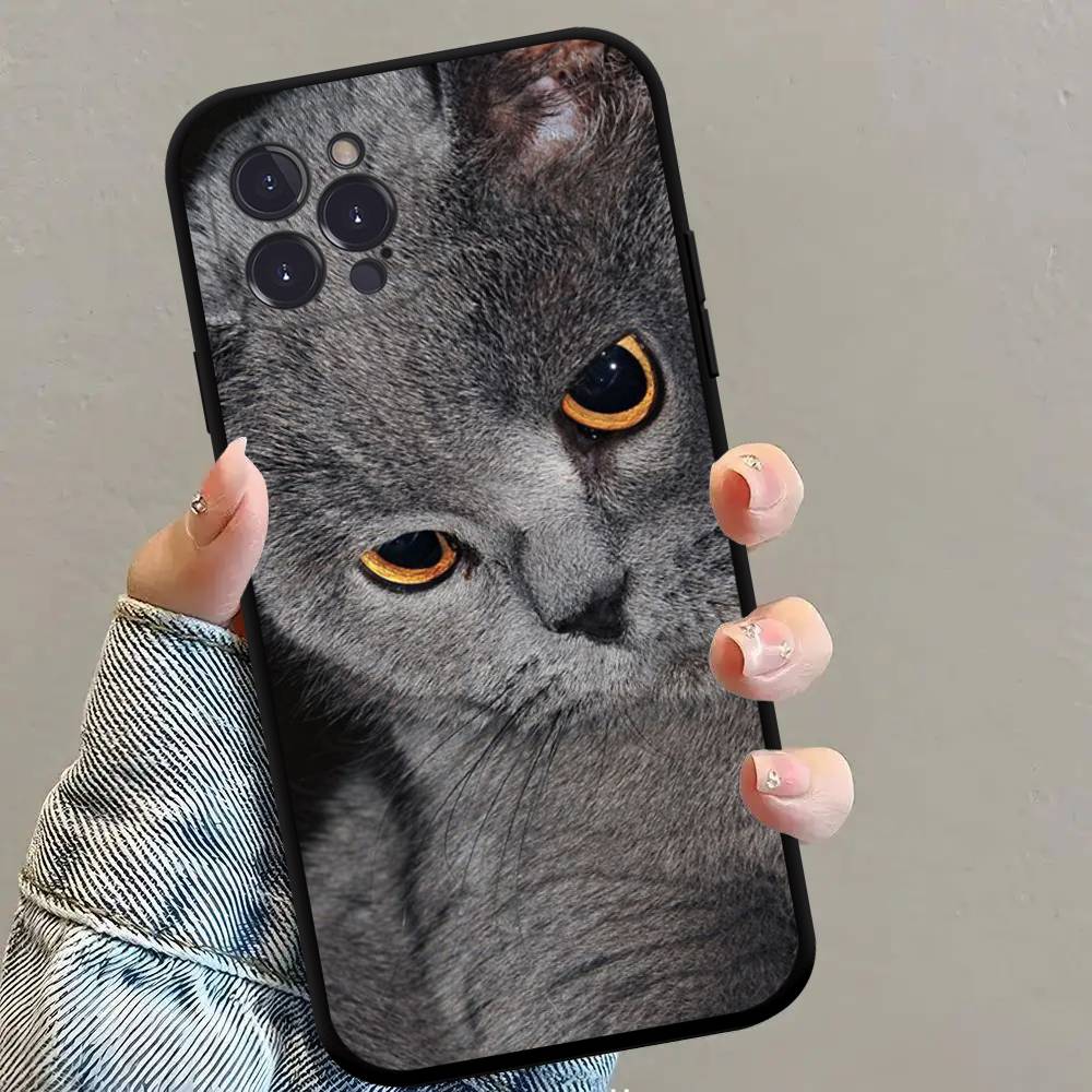 British shorthair cat Phone Case Black Soft Silicone TPU Phone Case For IPhone 11 12 13 14 15 16 17 Pro Plus Mini Max