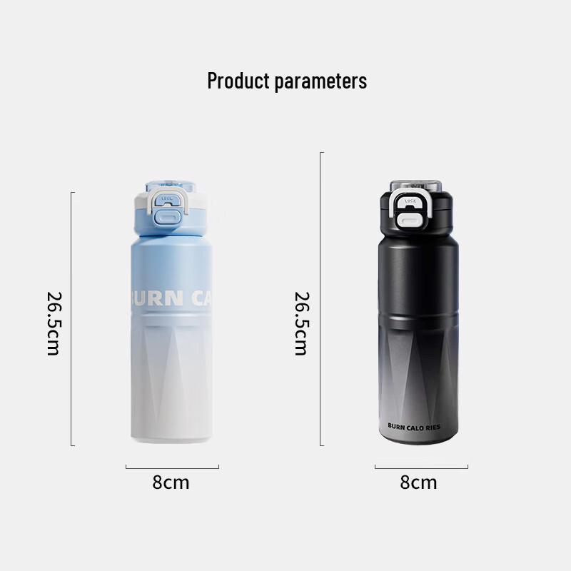 LINGCHEN Insulated Sports Water Bottle with Straw