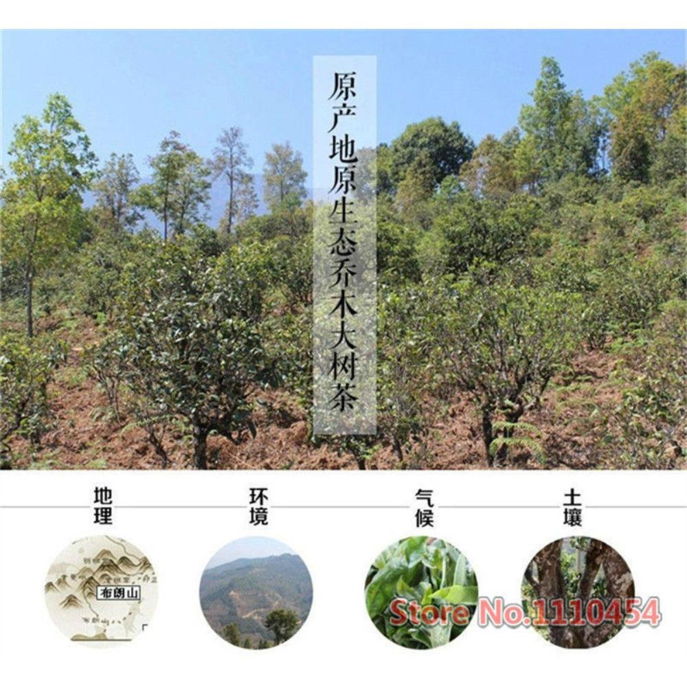 Organic Pu Erh Tea 100g Brick Natural Yunnan Compressed Dark Tea