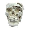 A84E-Home Decoration Skull Flower Pot, Indoor Small Flower Pot, Indoor Plant Mini Flower Pot, Garden Succulent Plant Pot