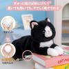 Realistic Plush Cat Stuffed Animal, Super Cute, Fluffy, Body Pillow with Belly Weighted Beads, Soothing Body Pillow, Funny Gift, Celebration,