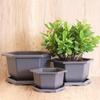 Ying Tang Plastic Imitation Zisha Orchid Pot
