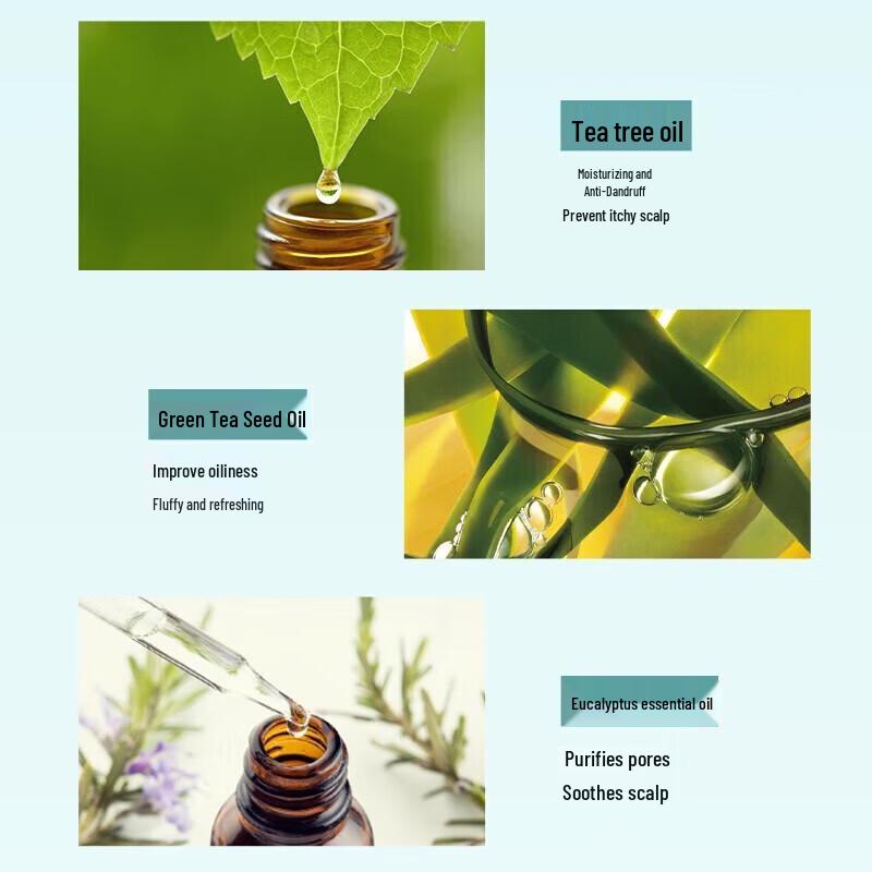 SURE Green Tea Seed Oil Control & Volumizing Shampoo (300g)