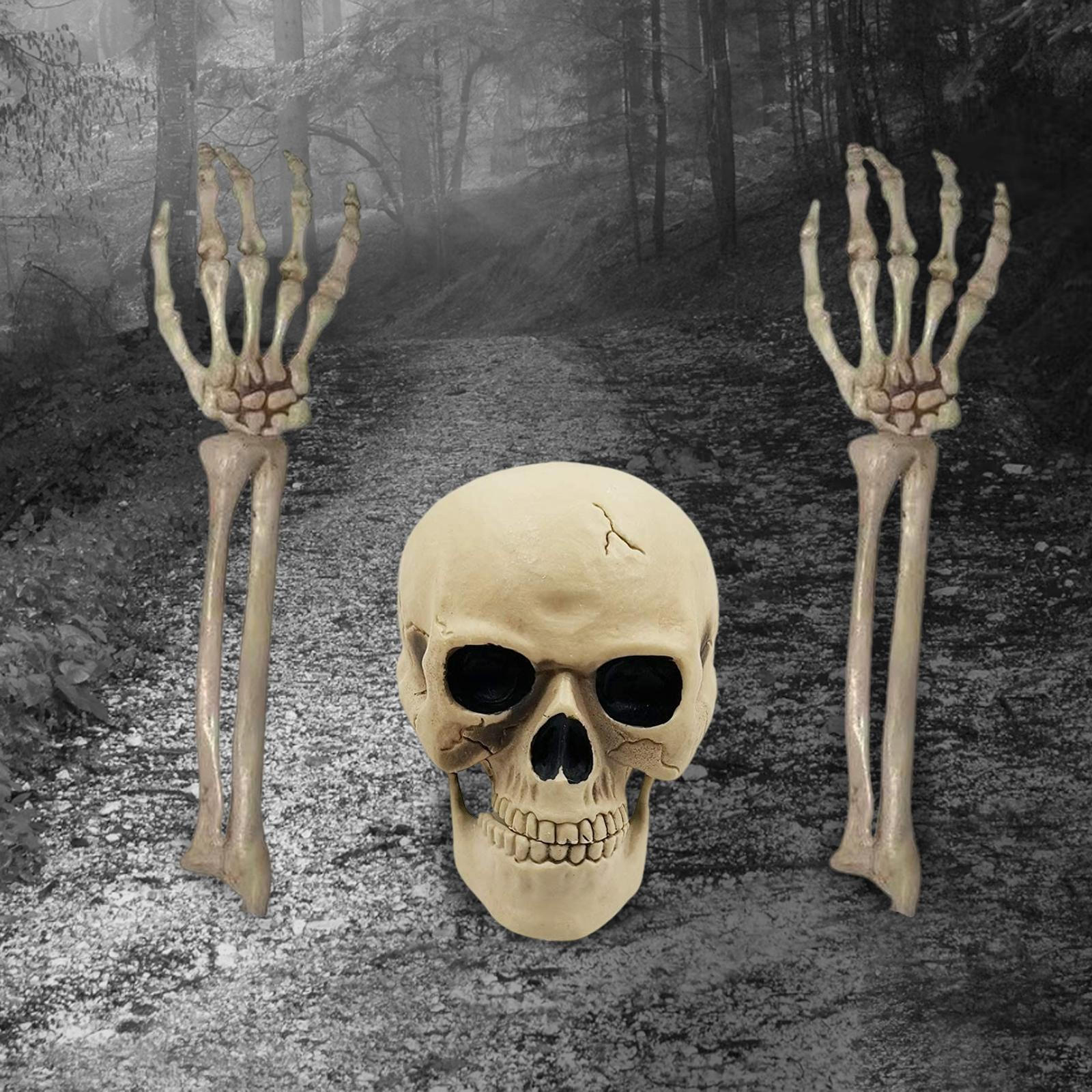 

Skull Human Skeleton, Animated Props Model Hand Arms Decorative Halloween Decoration for Lawn