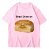 Funny Ed Sheeran Meme Print T Shirts Men Women Humor Creativity Short Sleeve Casual Soft Summer T-shirt Streetwear