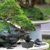 Relaxation Water Feature Small Fountain Indoor Fountains Table Top Black Resin Office