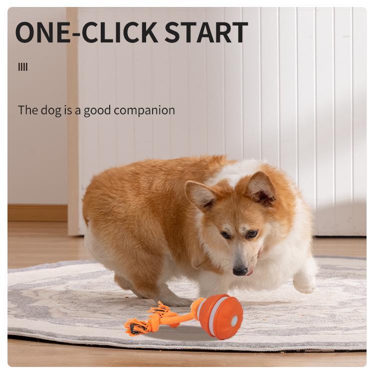 Smart Rolling Ball: Electric Dog Teething Toy & Bite-Resistant Teaser for Boredom Relief