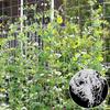 Plants Climbing Net Garden Heavy-Duty Plant Support Stand For Flowers Vegetable Orchard Cucumber Vine Netting Garden Supplies