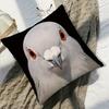 1 faux white and gray two-tone pigeon plush figure with modern style black background with flying or perching pigeon pattern
