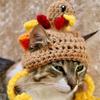 Elastic Cat Turkey Hat Cartoon Cat Cosplay Headwear Cute Pet Knitted Hat  For Cats Puppy