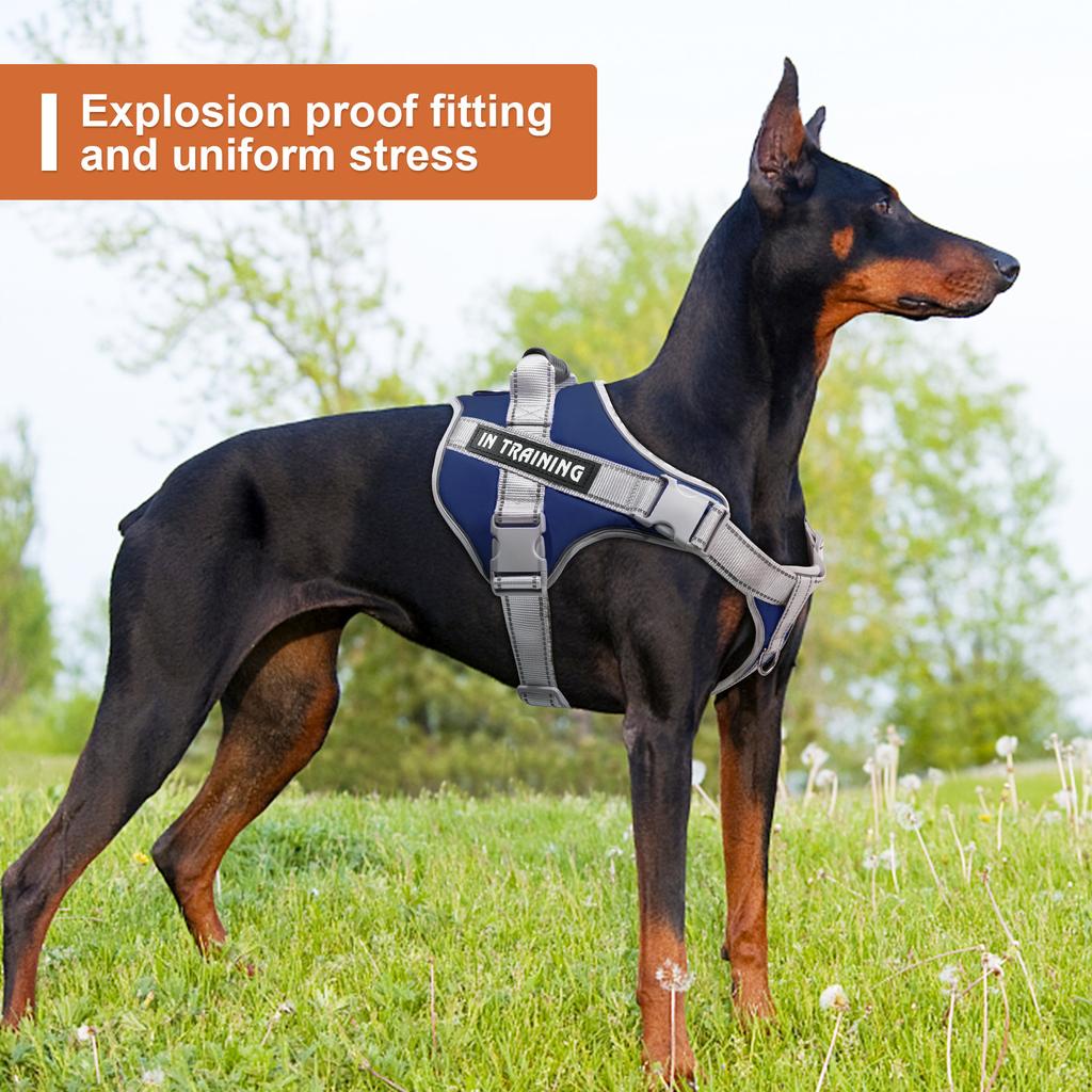 No Pull Dog Vest Harness Service Dog Chest Collars Puppy Accessories Tactical Train Medium Small Leash Set For All Breeds Dogs