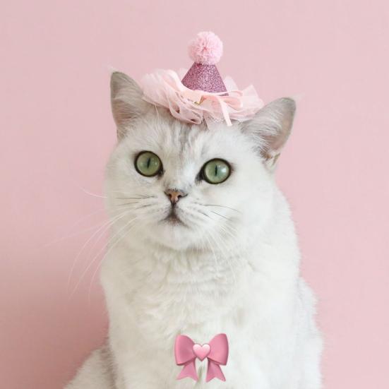 Katzenmütze für Haustiere, Schleifenknoten-Design, leuchtende Farben, hautfreundlich, ultraleichter Spitzenbesatz