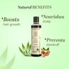 Khadi Natural Ayurvedic 18 Herbs Hair Oil For Dry Scalp Care And Hair Strength Suitable For All Hair Types 210 ml
