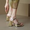 Luxury Women's Sandals Summer Shoes 2025 Ankle Strap Gold Silver Block High Heels Flip Flops Female Party Dance Shoes Large Size