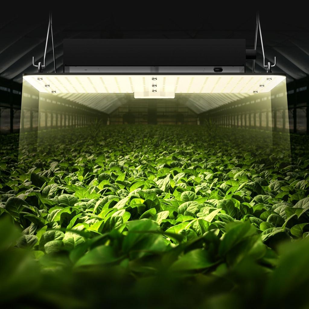Luce LED per la Crescita, 150W Spettro Completo Dimmerabile, Alta Resa Diodi Samsung 2B1B Lampada per la Coltivazione di Piante da Interno, Piantine, Fase Vegetativa e Fioritura, Serra,
