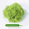 Artificial Moss Micro Landscape DIY Materials