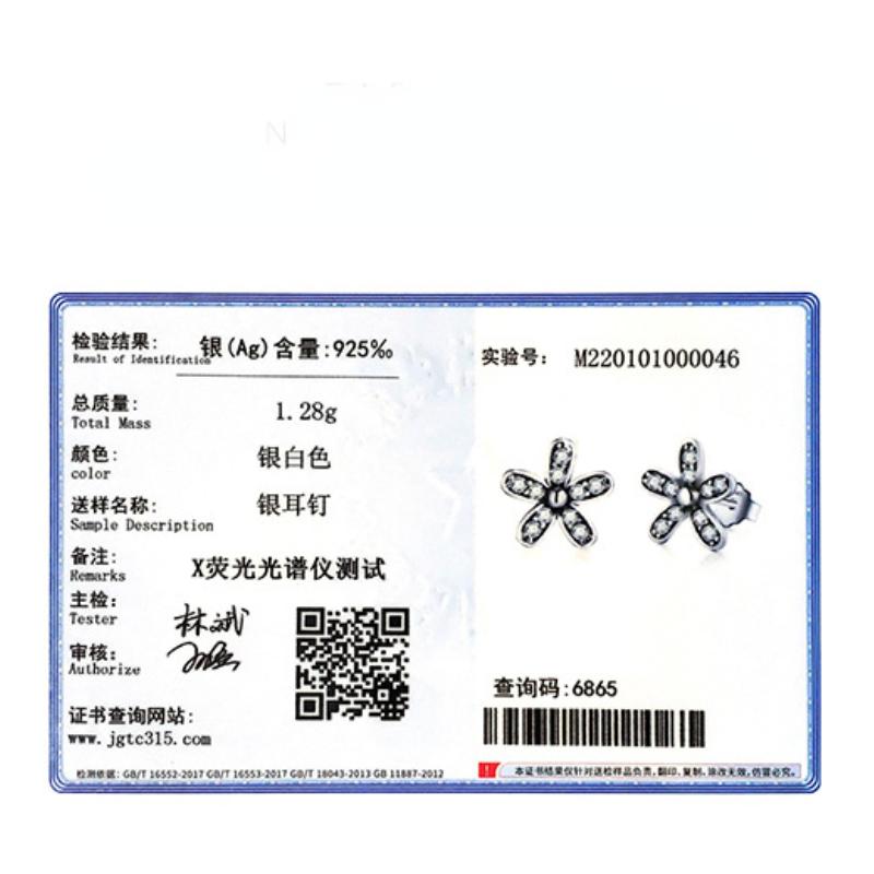 Tancise 925 Sterling Silver Zircon Earrings Drop Earrings For Women Wedding Party Gifts