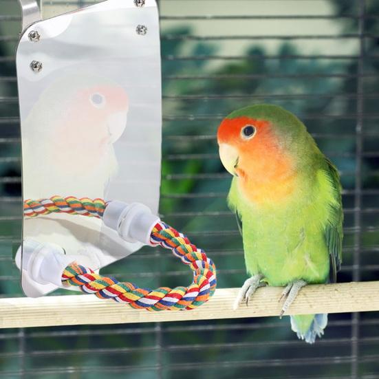 1 Set Parrot Toy Colorful Hanging Bird Mirror with Rope Perch for