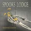 Spooks Lodge by Vronnie Carter Hardback Book 9781035817962