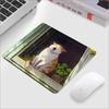Anime Lazy Cat Mousepad Computer Small Cute Teclado Rug Table Keyboard Desk Mat Laptop Cushion Gaming Accessories Office 22X18