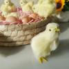 Chirping Yellow Chick Plush Toy