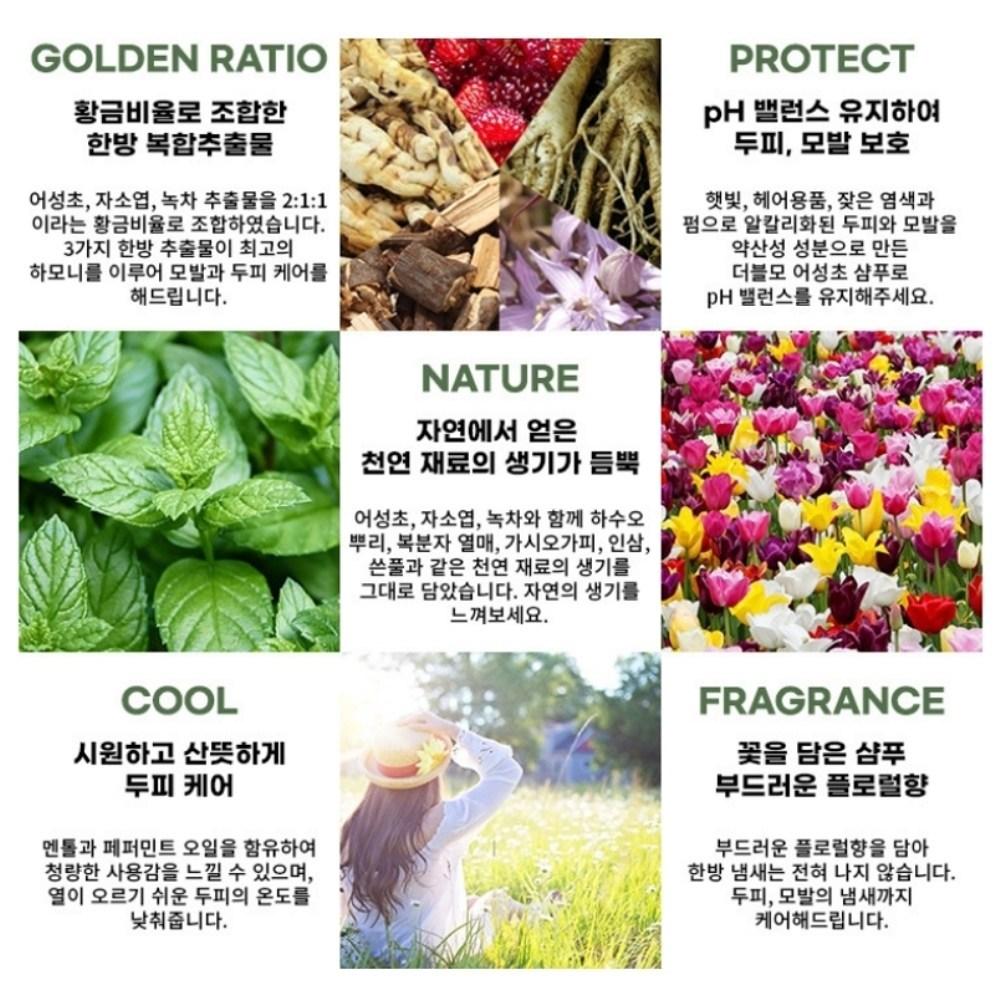 Double Houttuynia Cordata Shampoo Houttuynia Cordata Extract Hair Thickening Shampoo, 2 Bottles of Shampoo 1000ml + 1 Bottle of 150ml Mist