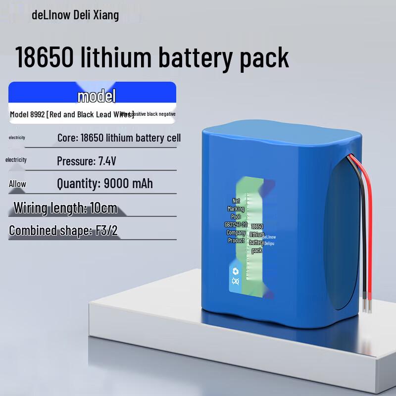 Delipow 18650 Rechargeable Lithium Battery Pack CN plug (adapter included)