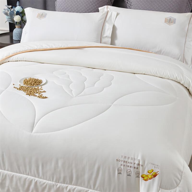 

Dohia Skin-Friendly Soy Protein Fiber All-Season Quilt