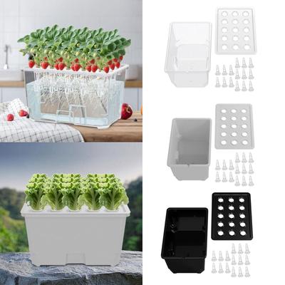 Kit de Sistema de Cultivo Hidropônico Cultivo Caixa de Cultivo Jardinagem Fácil de Usar Kit Hidropônico Indoor para Canteiro Mercado Hotel