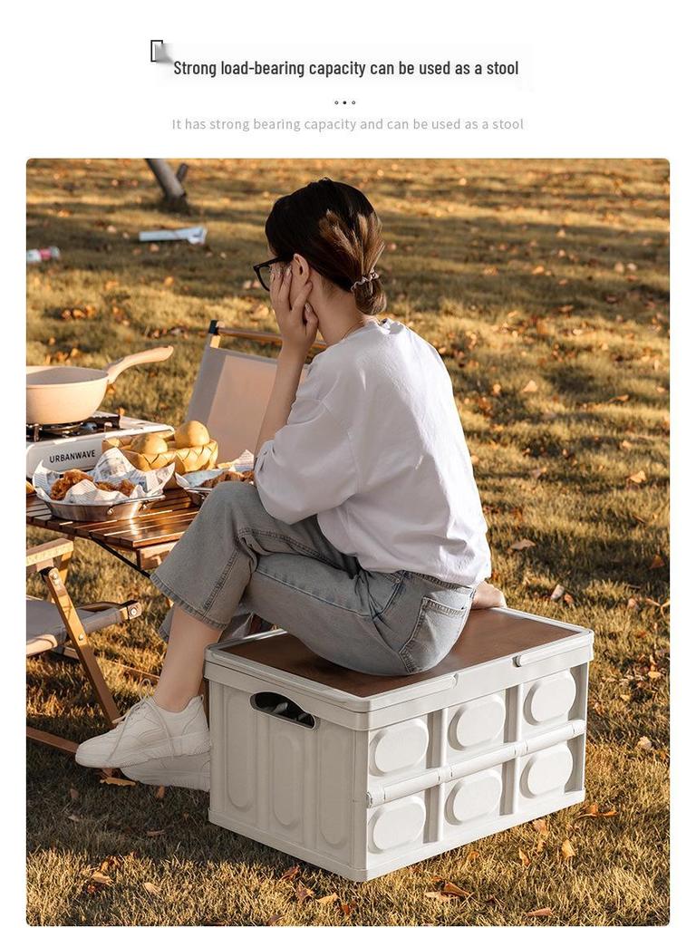 Golden Cat Outdoor Folding Storage Box for Camping & Car Trunk