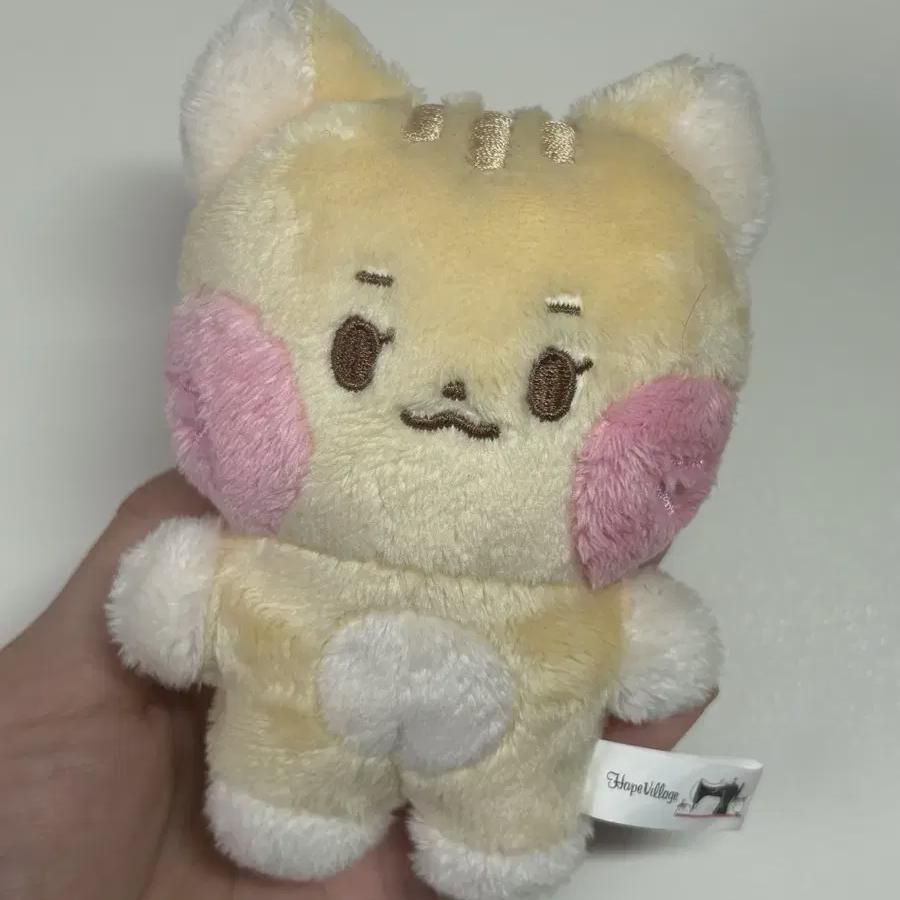 

Zerobaseone Sung Han-bin s Doll Is Slightly Yolk, Less Than The Cost
