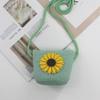2024 Women's Mini Cartoon & Straw Flower Messenger Bags - Cute Beach Accessory