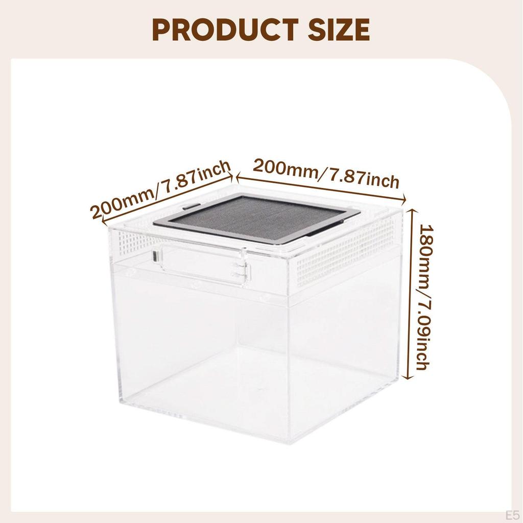 Uppfödnings-terrarium för reptiler, Transparent reptillåda, Behållare Grodor, Drakar, Tusenfotingar,