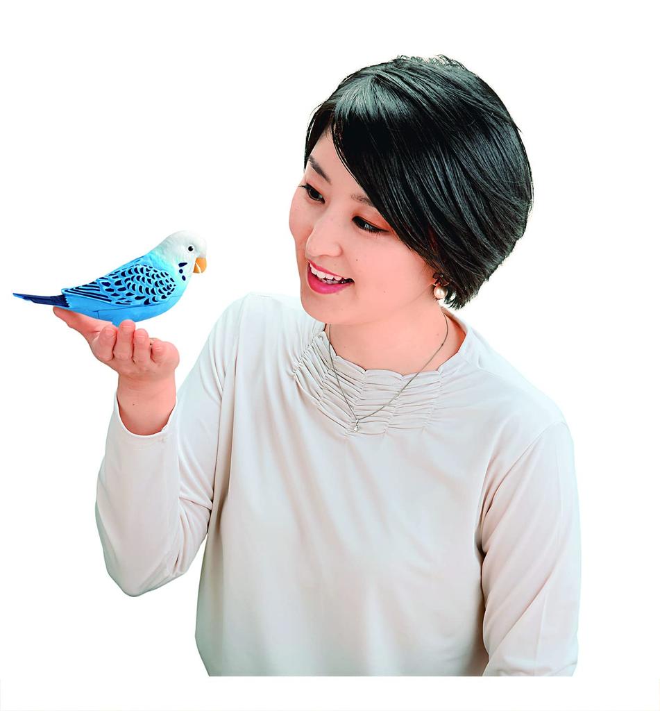 Takara Tomy TAKARATOMY Daily Talk Genius Parakeet Blue Blue Target 6 Years Old Brain Training Healing Partner Over 1100 Ways To Talk 10 Songs Age