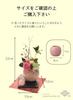 Sweet November 5D Japanese Classic Style Preserved Flower Gift by Comomo