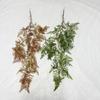 Artificial Green Plant With Fern Leaves For Wedding Decor And Home Styling