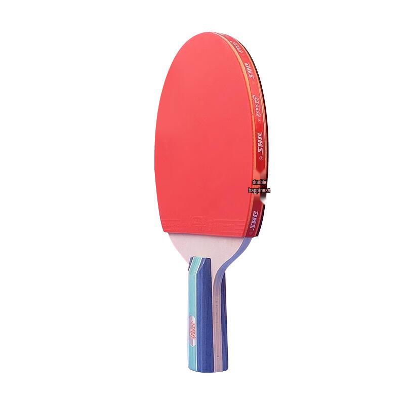DHS 1-Star Beginner Penhold Table Tennis Racket