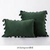 Medicci Home Velvet Soft Solid Decorative Throw Pillow Cover with Tassels Fringe Boho Accent Cushion Case for Couch Sofa Bed